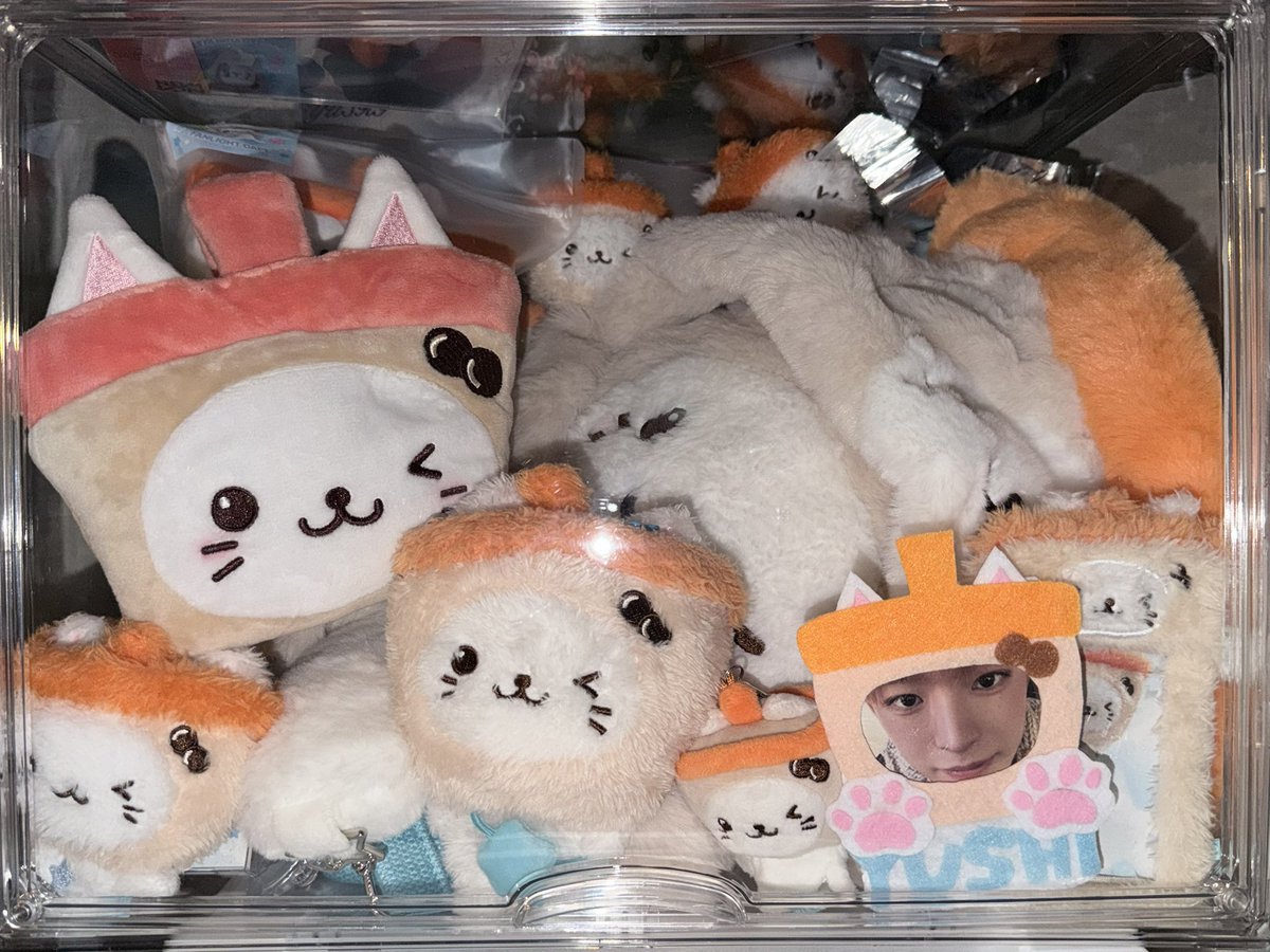 ᶜᴴᴬᴱ┈ ♡ﾞ tweet media