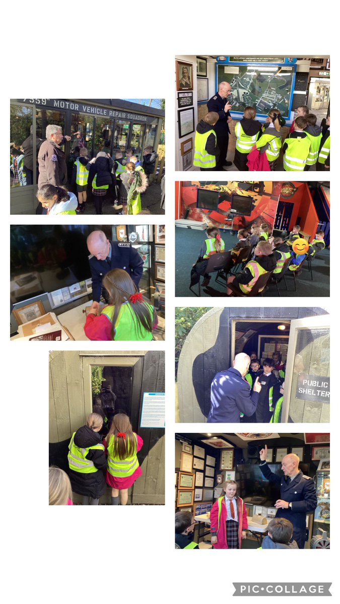 Elm Tree tweet media