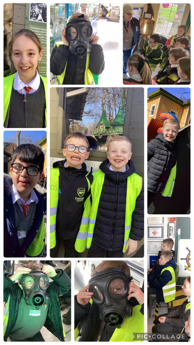 Elm Tree tweet media