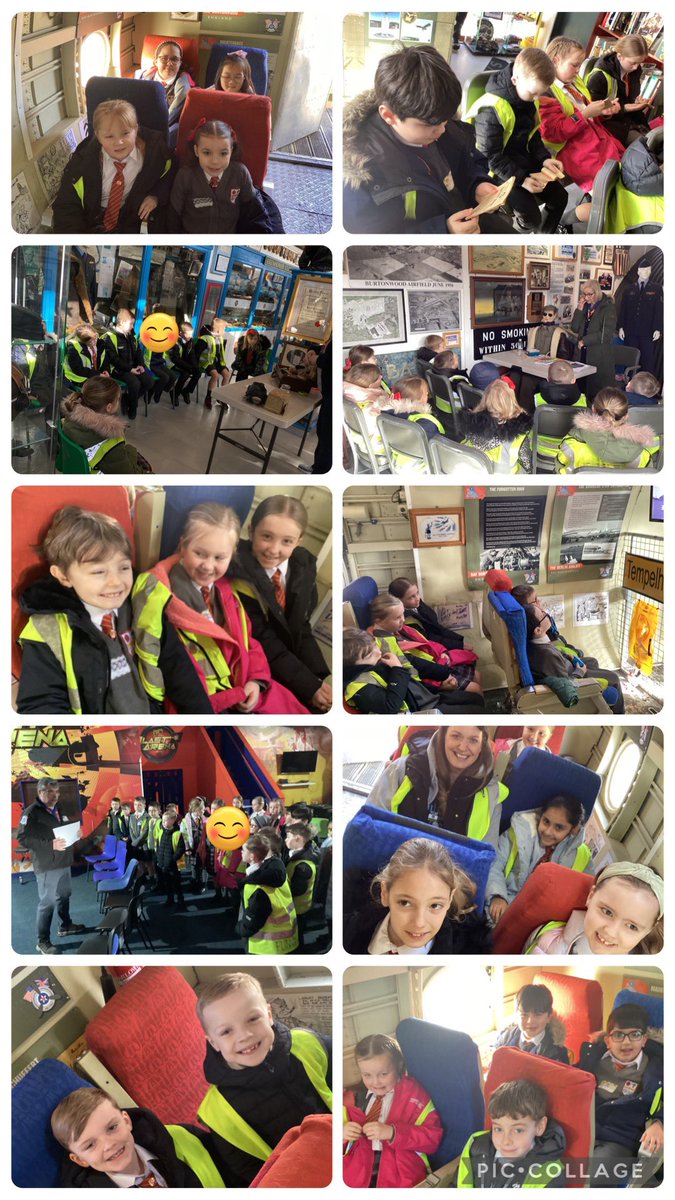 Elm Tree tweet media