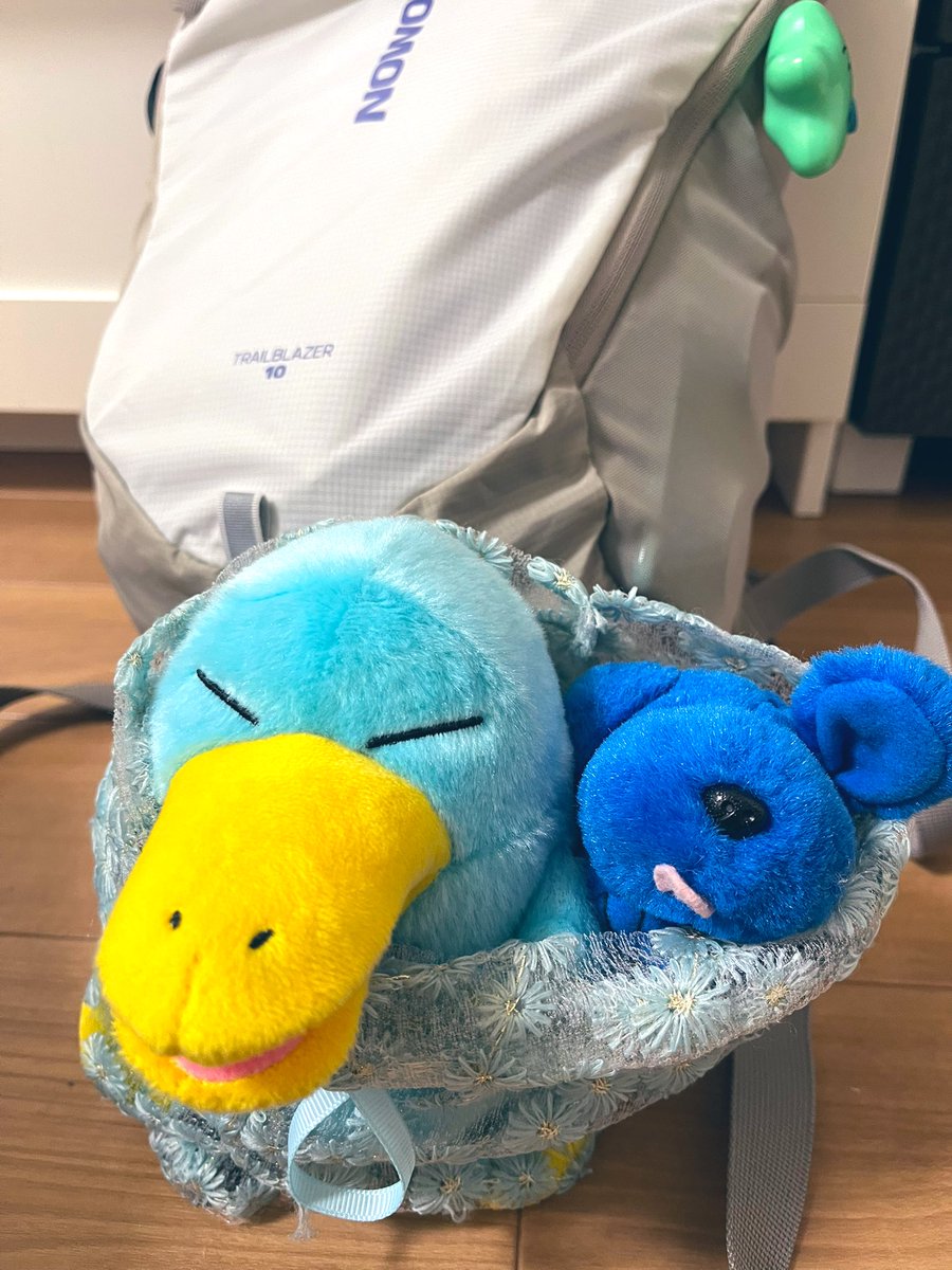 にこにこいぬ (@hellodog_0120) on Twitter photo 