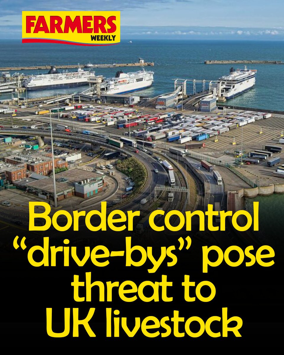 🚛 MPs have raised fresh concerns about gaps in inspections of imported meat and plant products entering the UK through the Port of Dover.  

READ MORE: ow.ly/jhNH50Yp32x