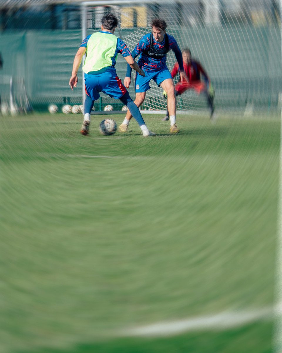 FCV Dender EH tweet media