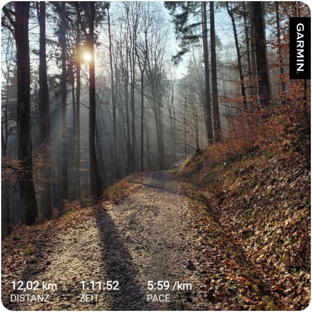 Andi Running tweet media