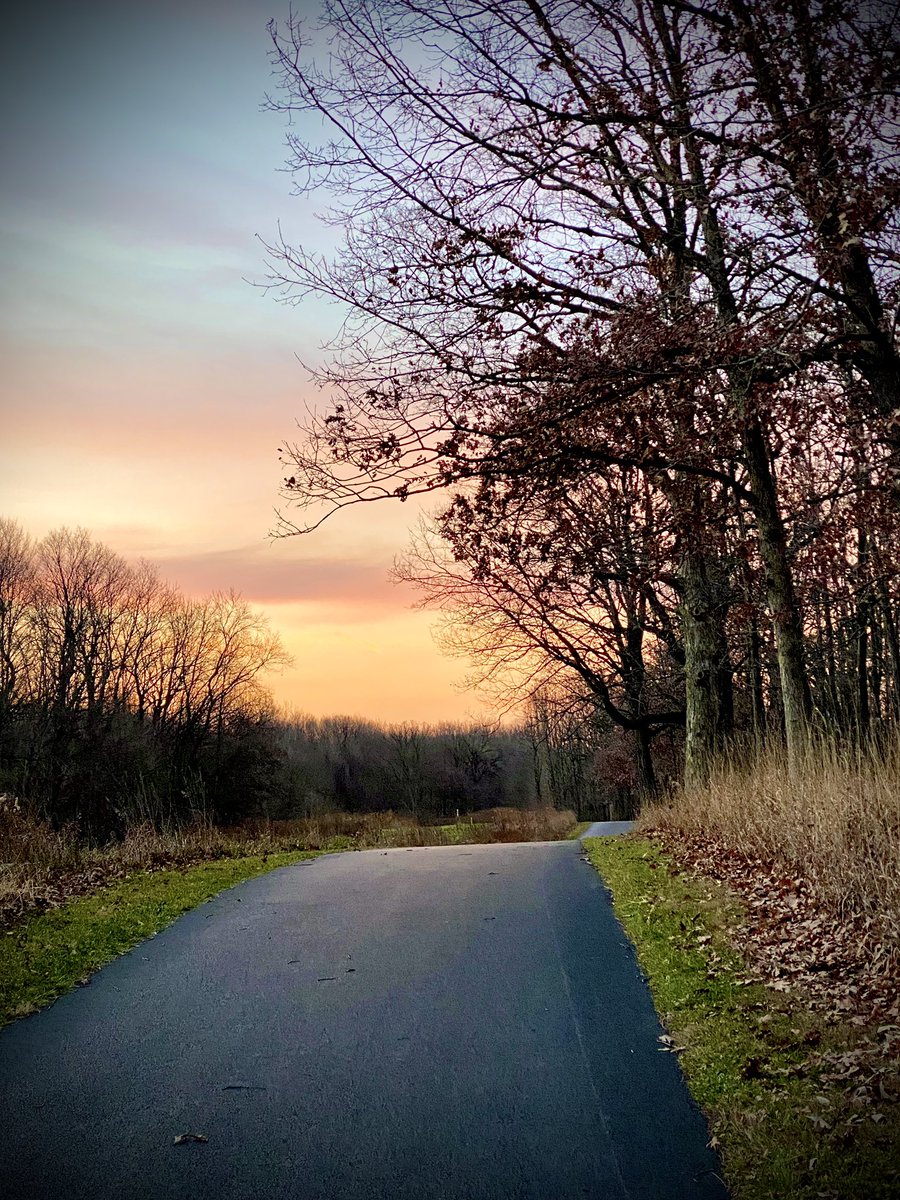 DENISE B tweet media