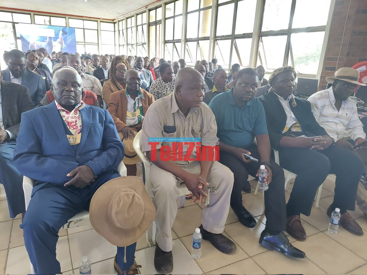 TellZim News tweet media