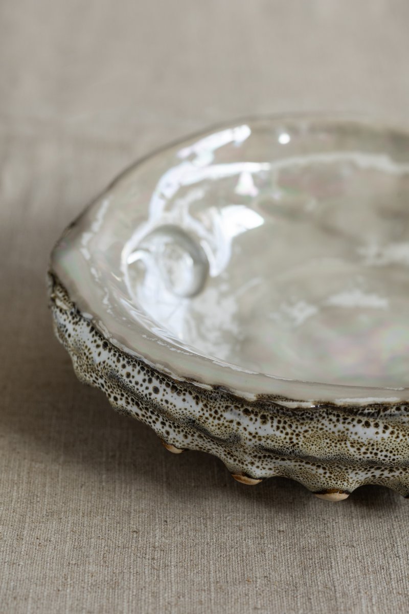 SA Home Owner tweet media