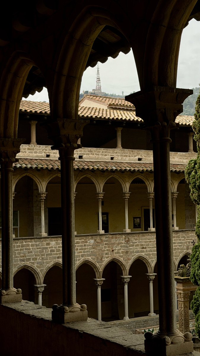 Carlos Márquez Daniel tweet media