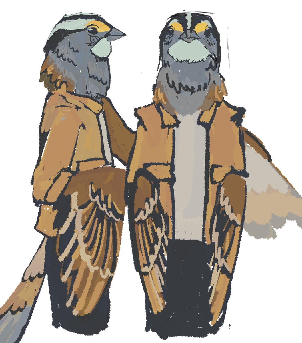 domi 🪤 tweet media