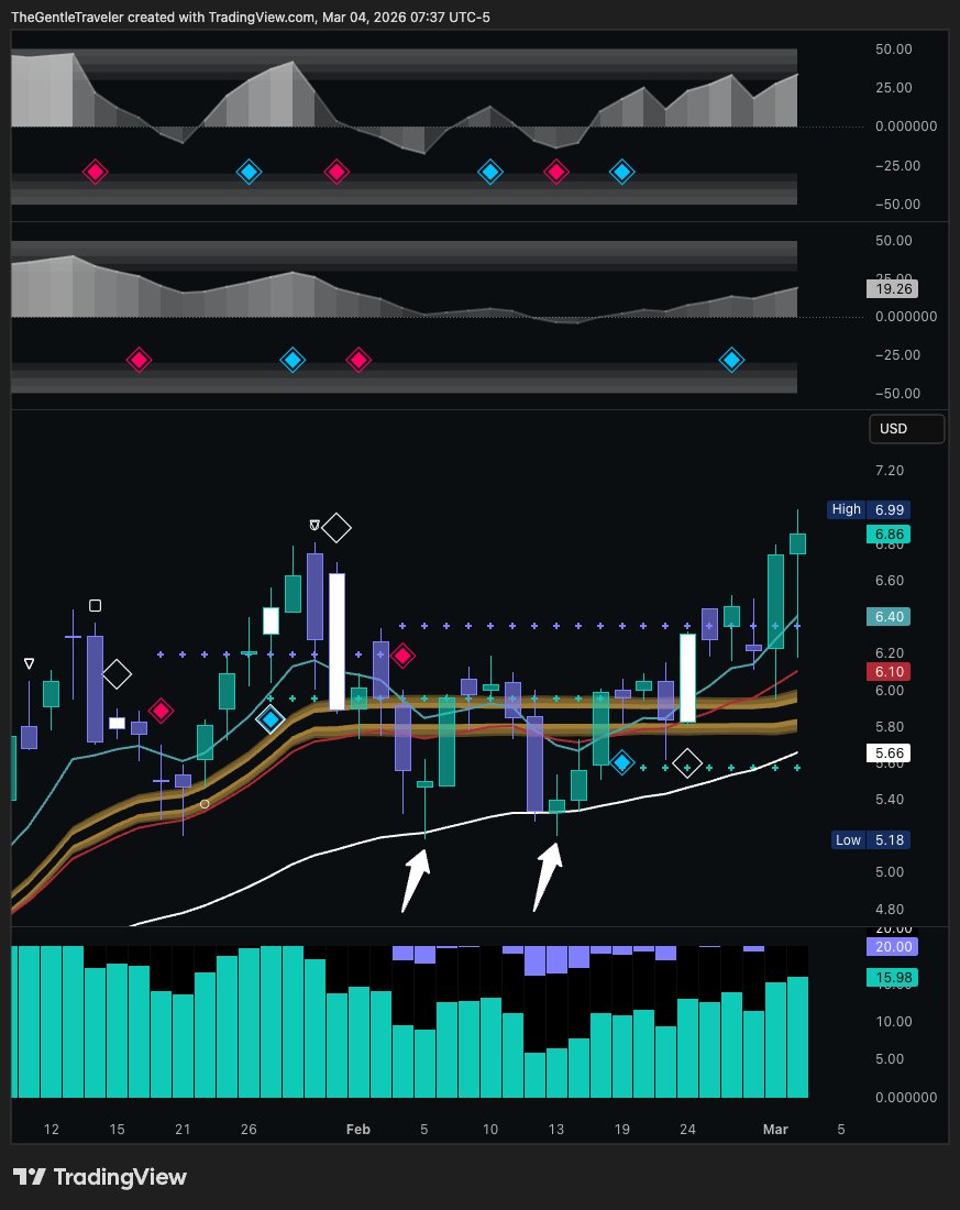 TheGentleTraveler tweet media