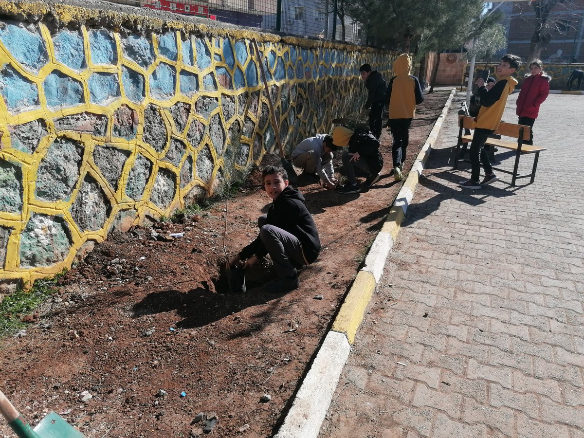 SehitVelit's tweet photo. 🌱 Geleceğe Nefes, Yarına Umut! 🌱
Midyat Orman İşletme Şefliği tarafından öğrencilerimize Orman yangınlarıyla mücadele semineri verildi, ardından bahçemizde fidanlarımızı toprakla buluşturduk.
Katkı ve destekleri için Midyat Orman İşletme Şefliğine teşekkür ederiz. 🌿 https://t.co/ZR6cZlWBPu
