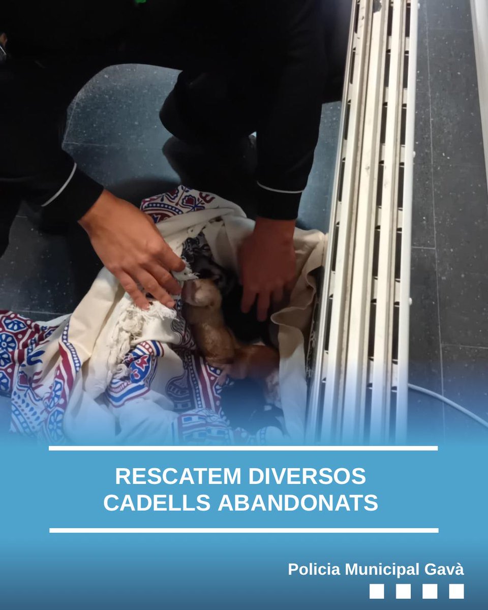 Policia Municipal de Gavà tweet media