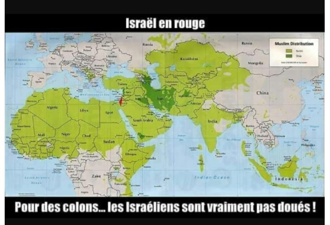 jean zerbib tweet media