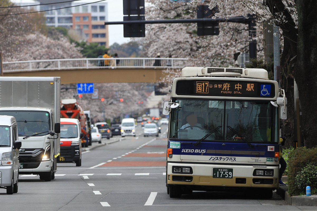 07MC_RM510's tweet photo. 2026.3
京王バス多摩営業所
J40811 J40812 (PKG-RA274KAN) 除籍

多摩へ末期転属したRA2台��遂に除籍に。
府中時代の並びを添えて。811のGは撮れず… https://t.co/6ku3vgZHoP