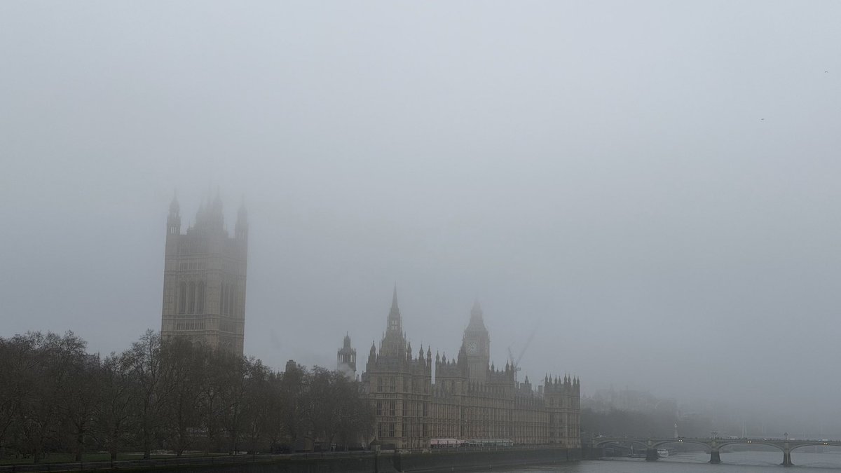 simon.stanley tweet media