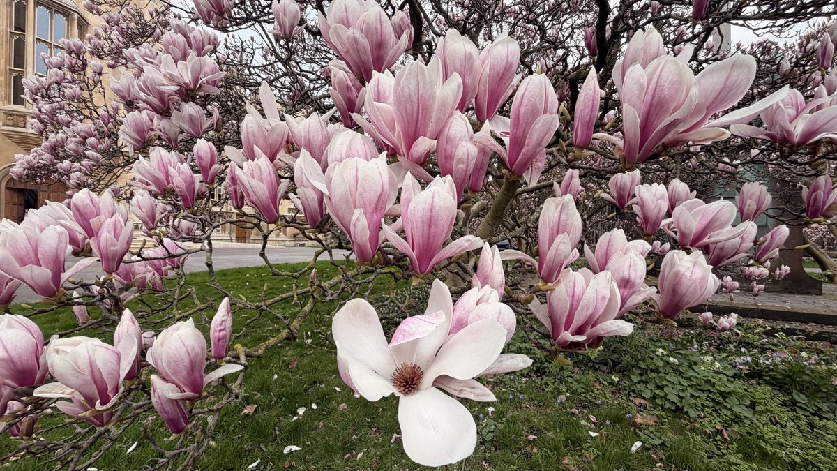 simon.stanley tweet media