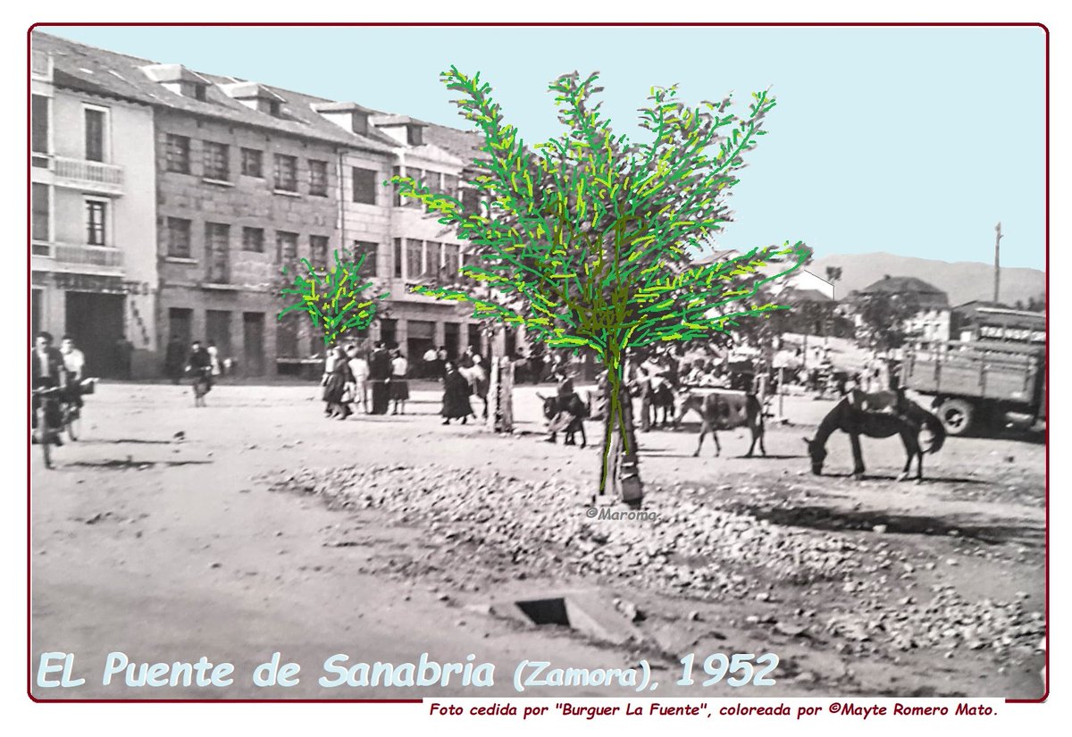 CasaRVillaCelia's tweet photo. La vida d nuestros #Pueblos depende también del #Comercio q se ofrece en ellos
Y de las #Comunicaciones, las #Externas (@Renfe), y las #Internas, #Autobuses q conecten entre sí a todas las localidades #SanabriaCarballeda y con la cabecera comarca (@jcyl)
https://t.co/JLIte4ZKAO https://t.co/vz5yP2mDHs