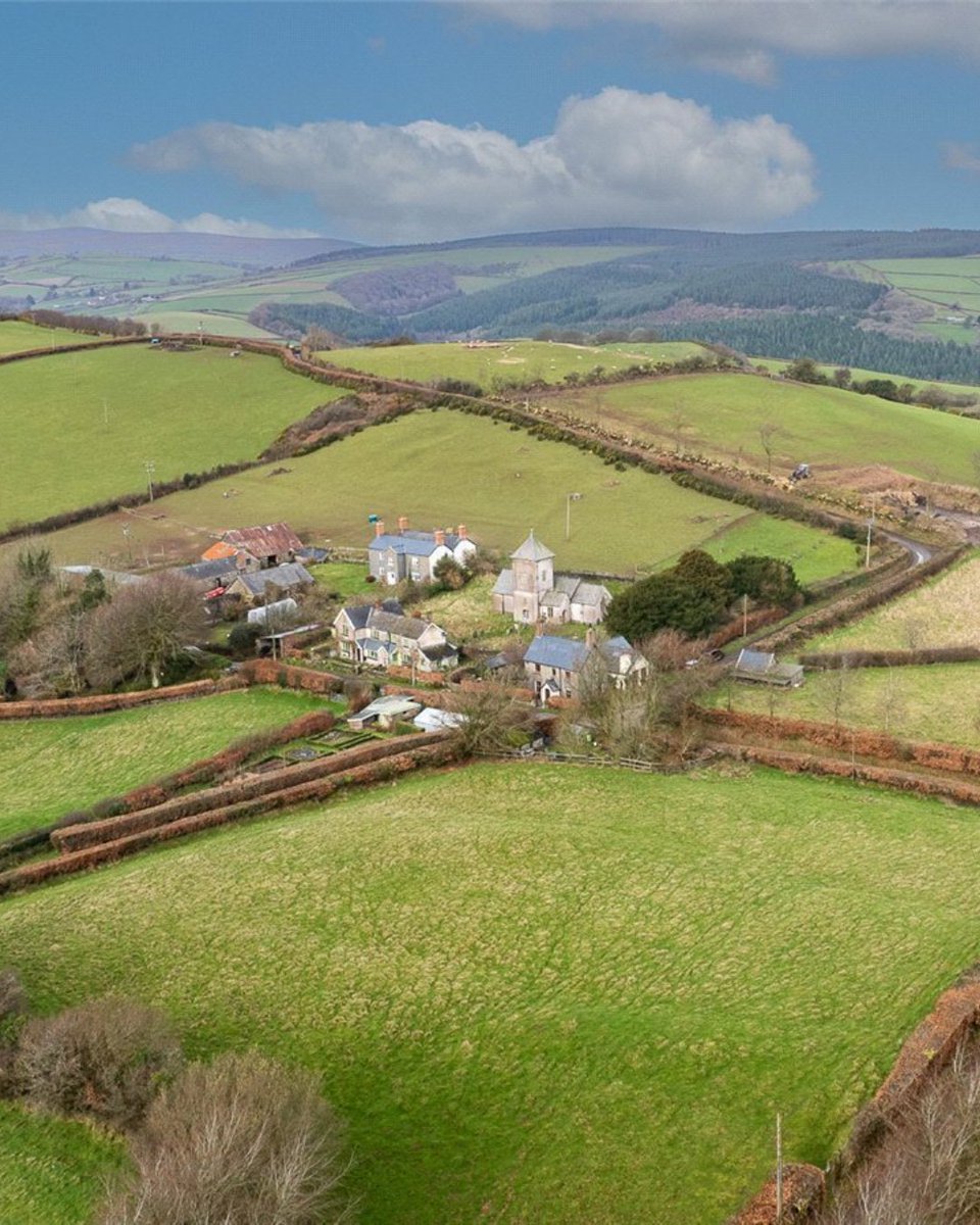 Jackson-Stops Taunton tweet media