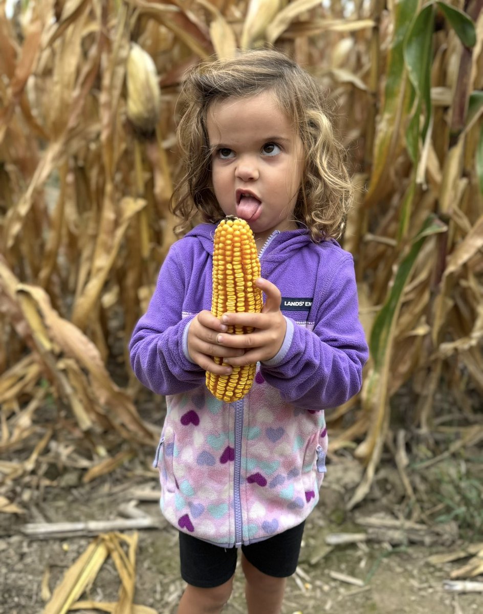 Derek Sutor tweet media