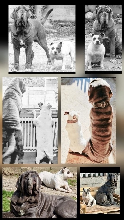 RavenAndCo tweet media