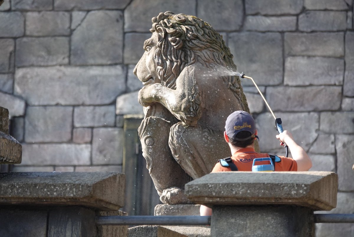 Jeroen Fotografie📷 tweet media