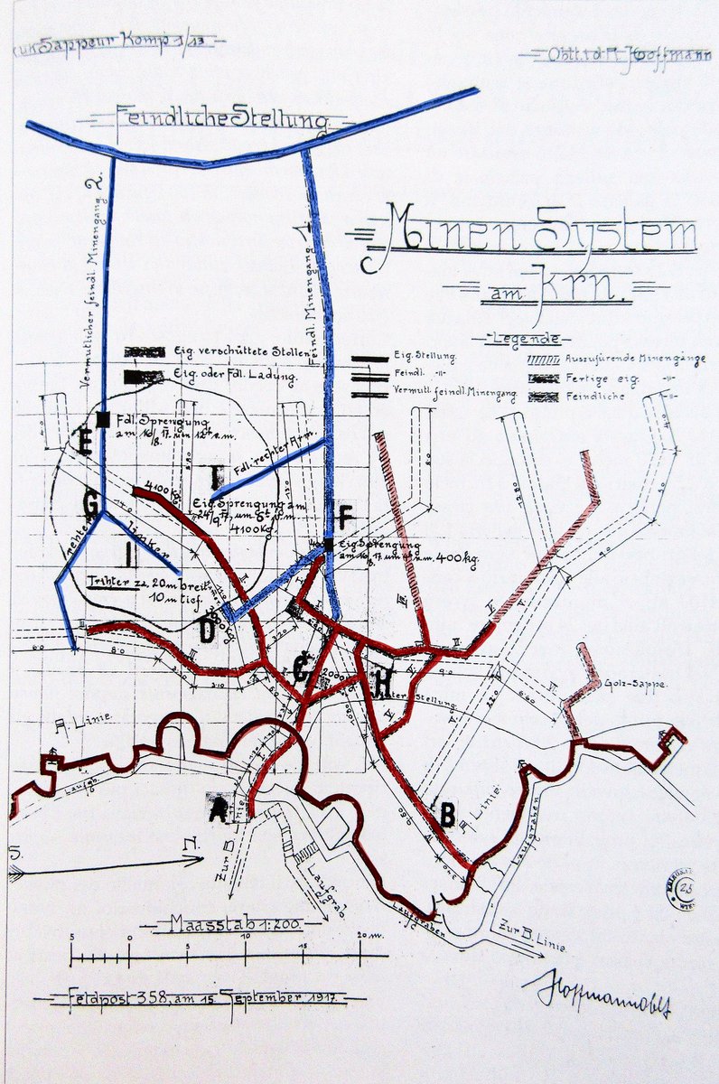 Tom Isitt 🐝 tweet media