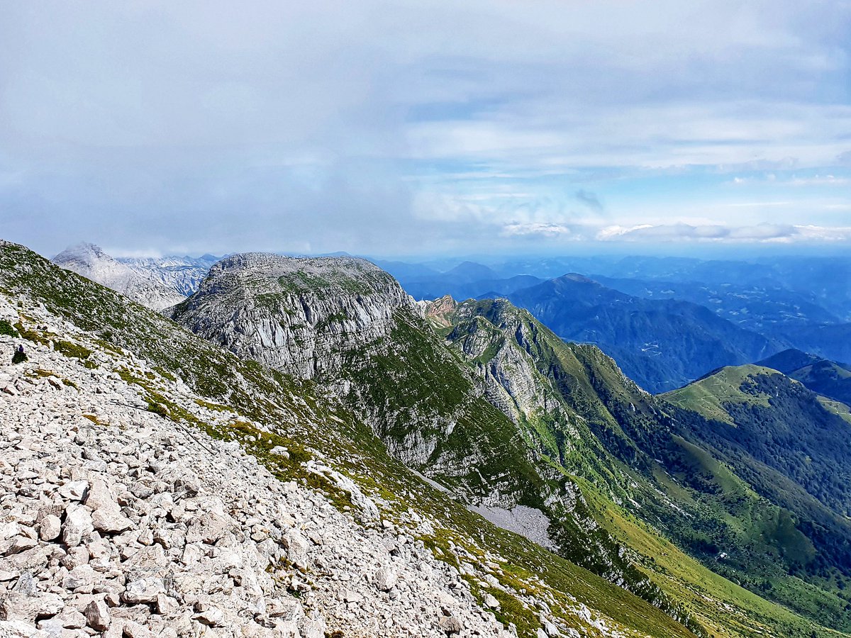 Tom Isitt 🐝 tweet media