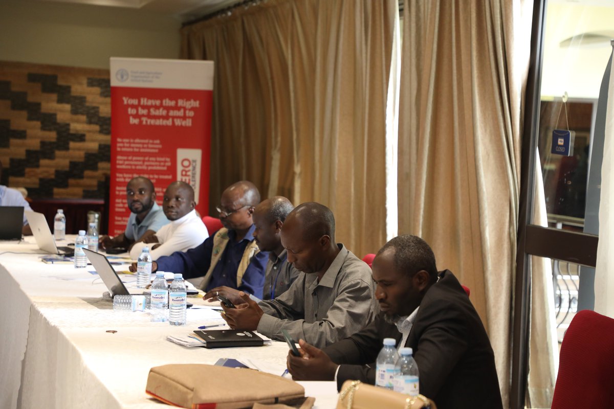 FAOUganda's tweet photo. In partnership with @OPMUganda, we're holding a capacity building workshop this week in Fort Portal for district stakeholders in #hydrometeorological observations.
Participants are also discussing #advisories for the Rwenzori sub-region's March–April–May (MAM) rainfall season. https://t.co/SbKnbTKYra