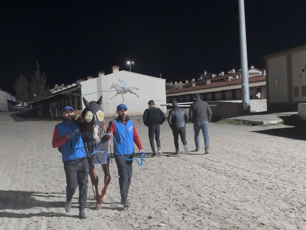 ⭐️ ŞANLIURFA 🎯🎯

Dikkat listesi isteyen, banko ve cazip at isteyen RT YAPIP, TAKİP ETSİN.. ✔️ 💯 

SONRA MESAJ KUTUNA BAK, OYUN ORDA.. 📩

Takip etmeyen, rt yapmayan göremez.. Bilginize.. Tekim bomba.. 💣 💥