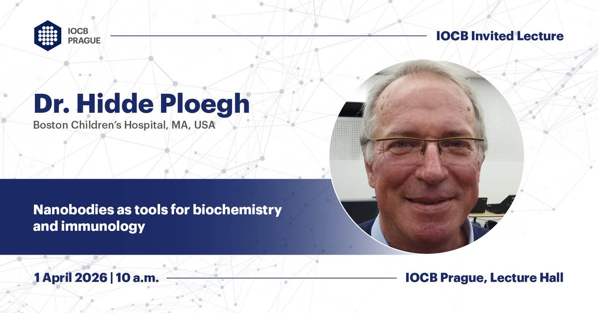 IOCBPrague's tweet photo. 🗣️ We are looking forward to hosting Dr. Hidde Ploegh @HLPloegh (@BostonChildrens, MA, USA) with an #invitedlecture titled "Nanobodies as Tools for Biochemistry and Immunology" on 1 April ► https://t.co/9lwxbcN9rR

#praguelectures https://t.co/FZPvDZ2crs