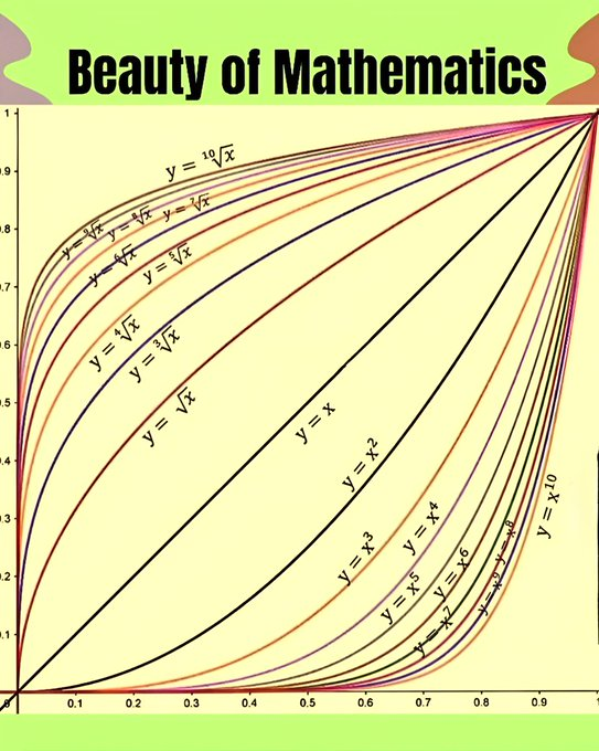 Math Files tweet media