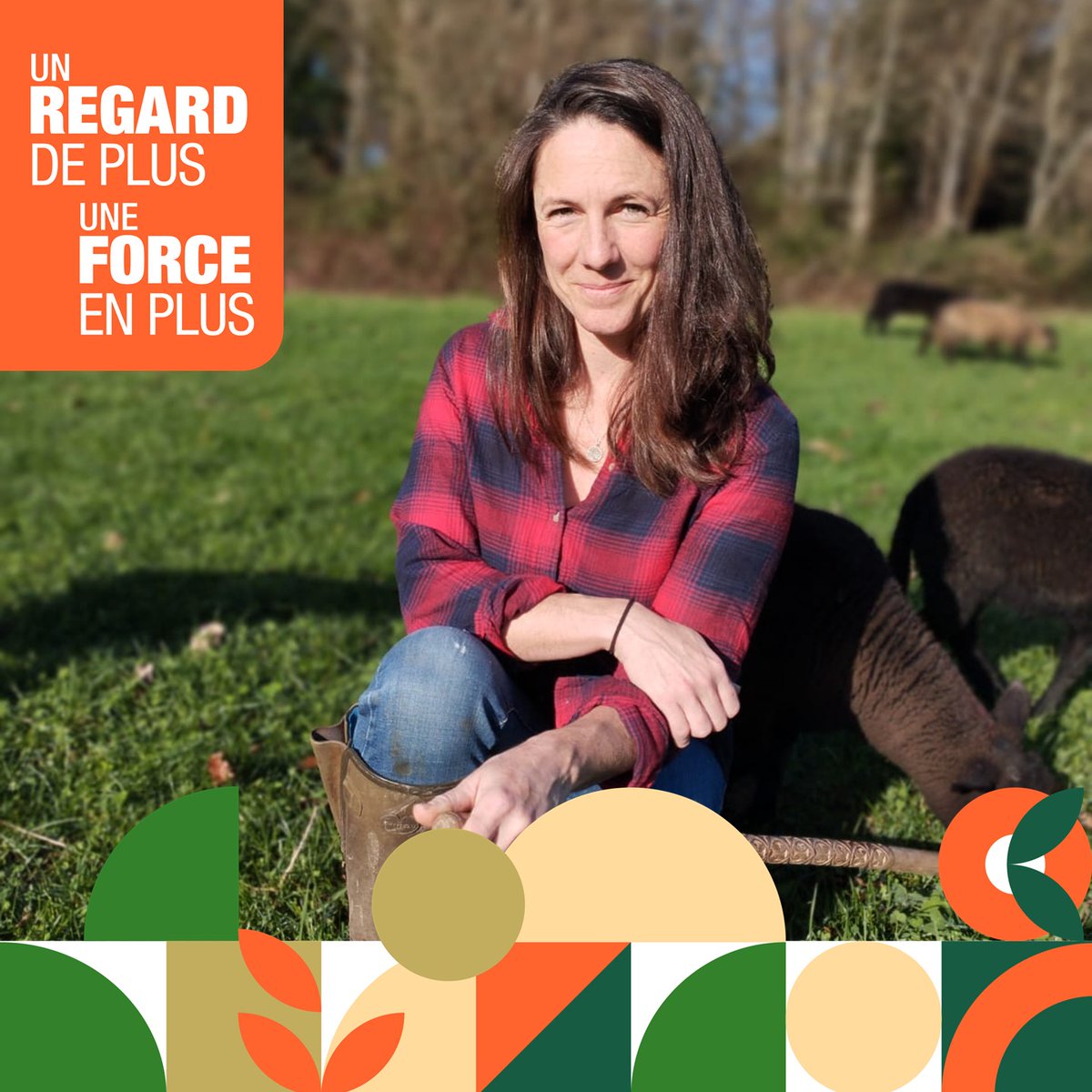 MSA Armorique tweet media