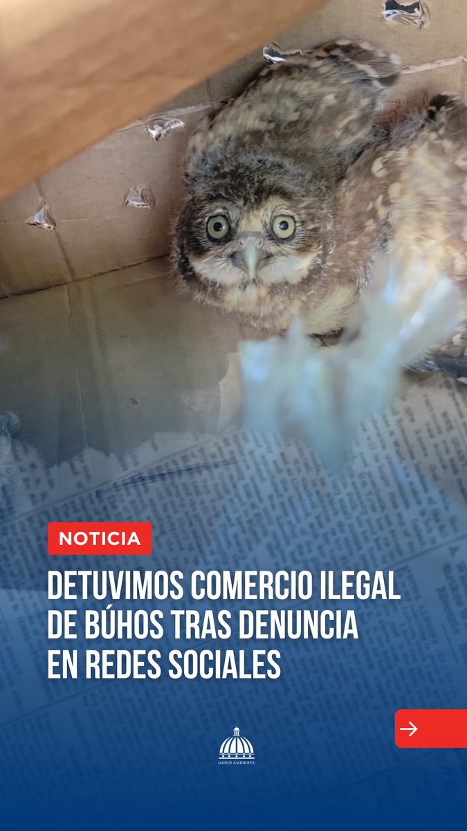 Ministerio de Medio Ambiente RD tweet media