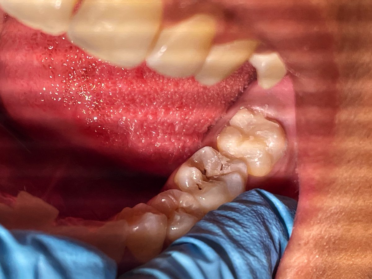 أرجوان tweet media