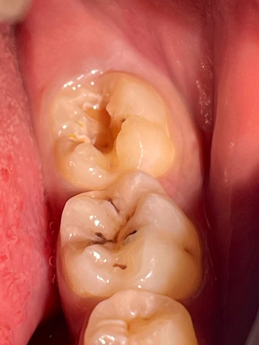 أرجوان tweet media