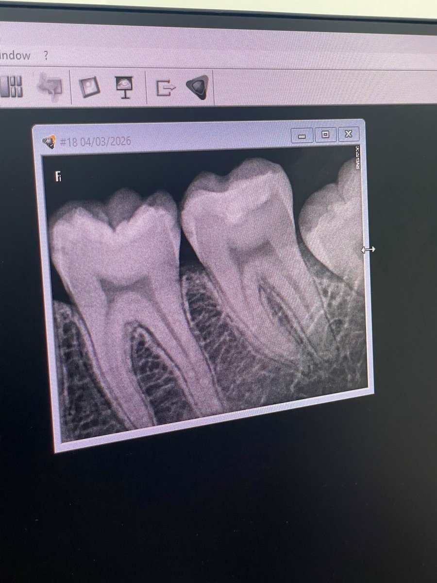 أرجوان tweet media