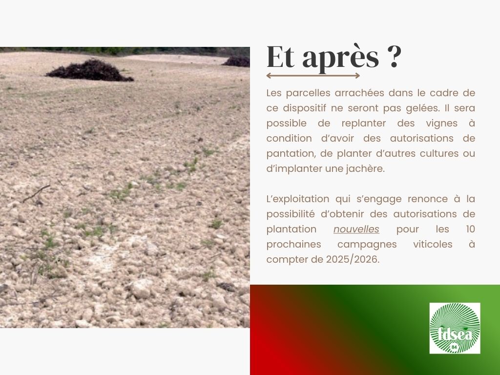 FDSEA de Vaucluse tweet media