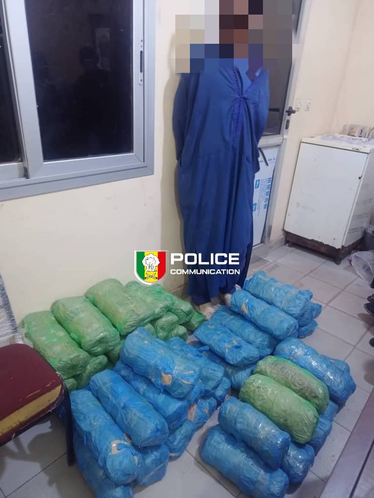 PoliceNationSN's tweet photo. Saisie de 49 kg de chanvre indien à Karang !
La BRS de Fatick (#OCRTIS) a démantelé un réseau de "porteurs" dans la forêt de Karang-Ba.
🔹 Bilan : 49 kg de drogue saisis.
1 convoyeur interpellé, 3 en fuite.
Saisie d'une arme blanche (machette) et de matériel de communication. https://t.co/GlxhwfmDbH