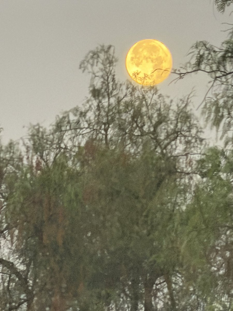 SolGomsa's tweet photo. @MarioMal Buen miércoles con una luna increíble, saludos https://t.co/OG9bkFsps9