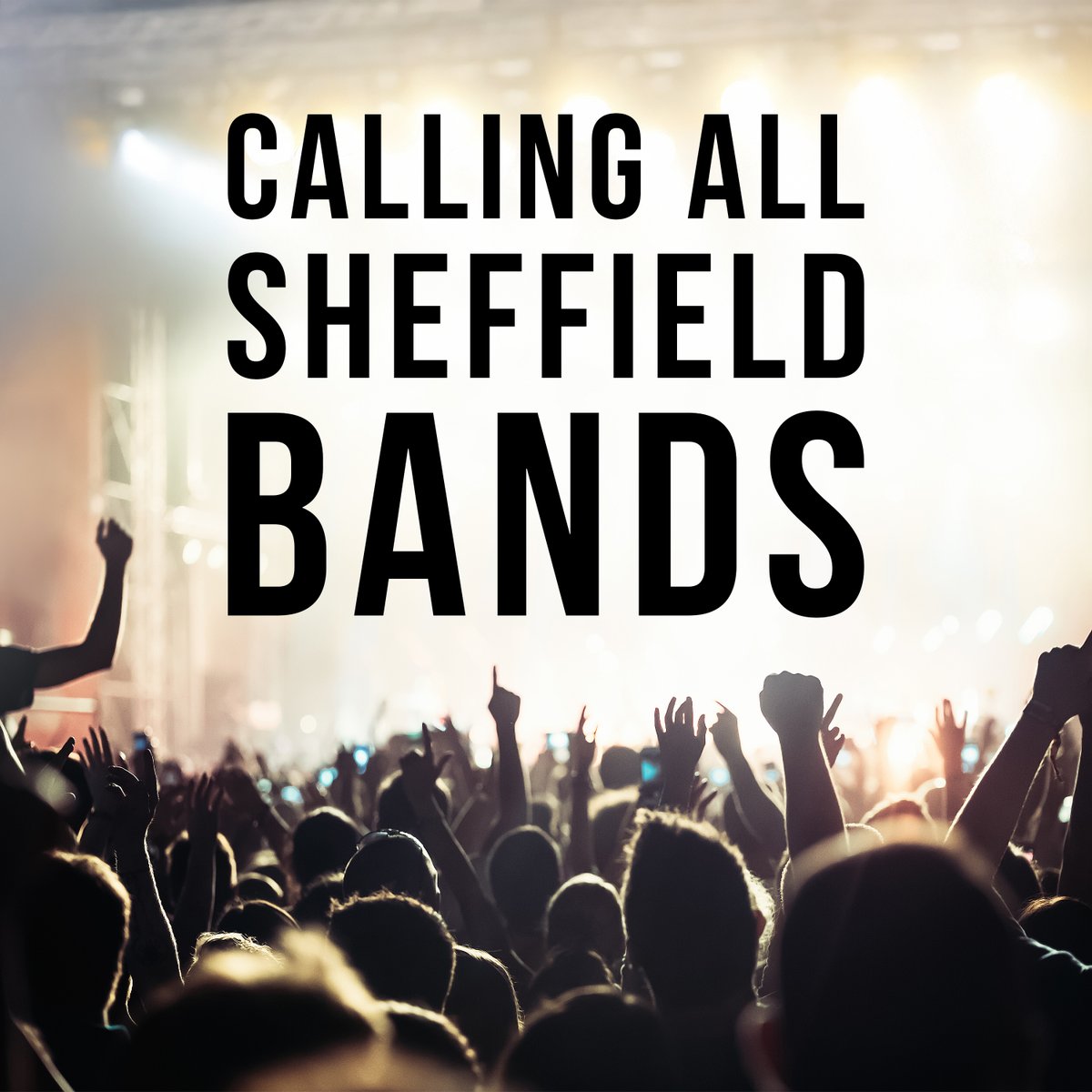 Aggressive Management tweet media