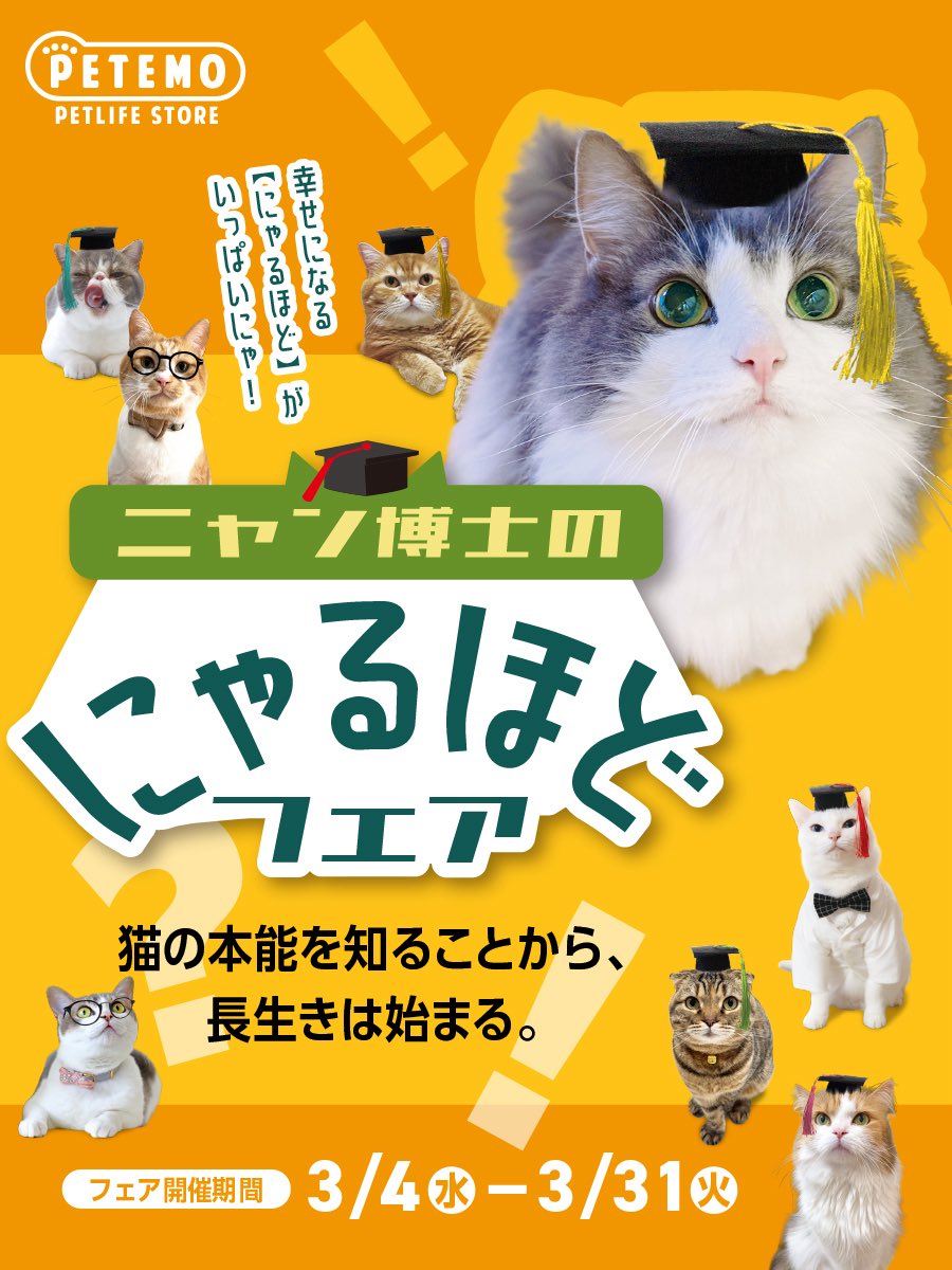 直哉 tweet media