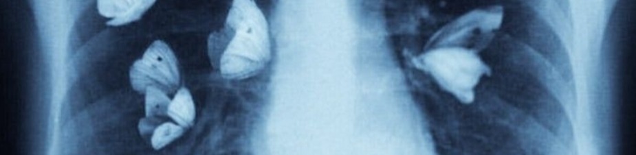 𝐒𝐮𝐧𝐧𝐲 🩶 tweet media