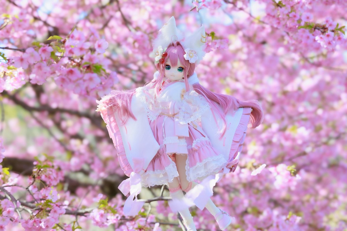 今日のお気に入りはこちら🌸 #木茶動物園 #うちのこかわいい