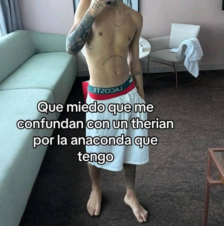 Gato cubano🥵🇨🇺 tweet media