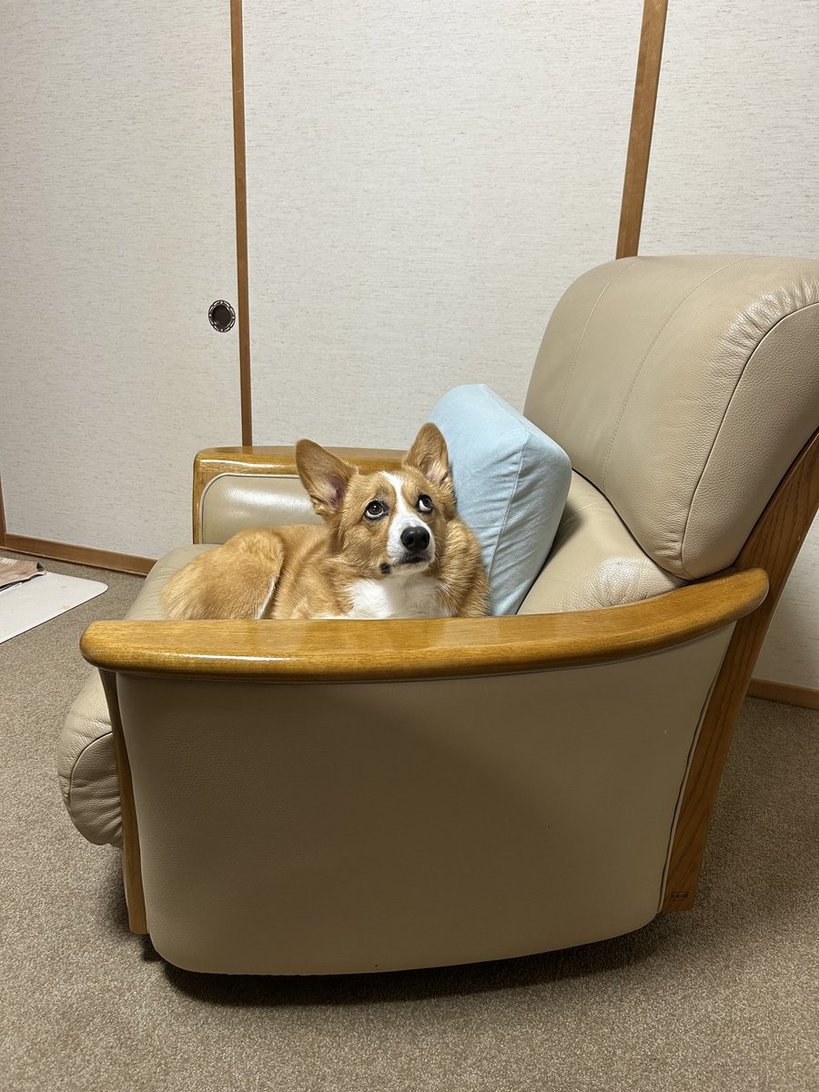 柚子 (@n71_yuzu) / Posts / X