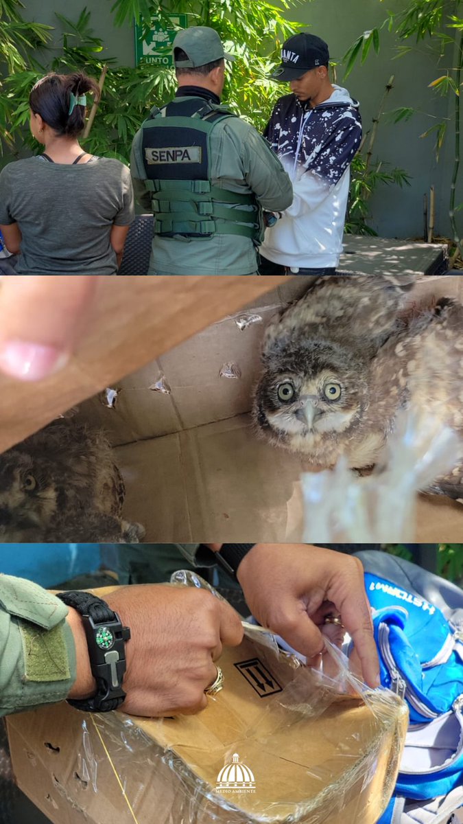 Ministerio de Medio Ambiente RD tweet media