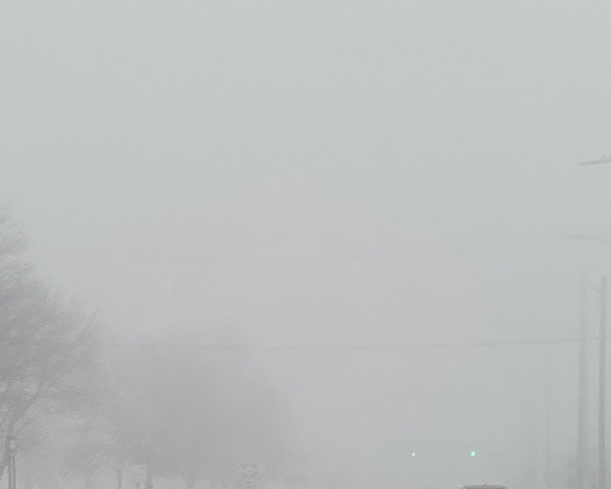 jesseRoss597206's tweet photo. Chemical fog is back from climate engineers polarizing our temperatures. Everyone here is mouth breathing because our noses are clogged up &amp; this fog gets straight in the pores. The insanity of having to live every single with some form of poisonous weather event is diabolical https://t.co/eH2Zh4eElh