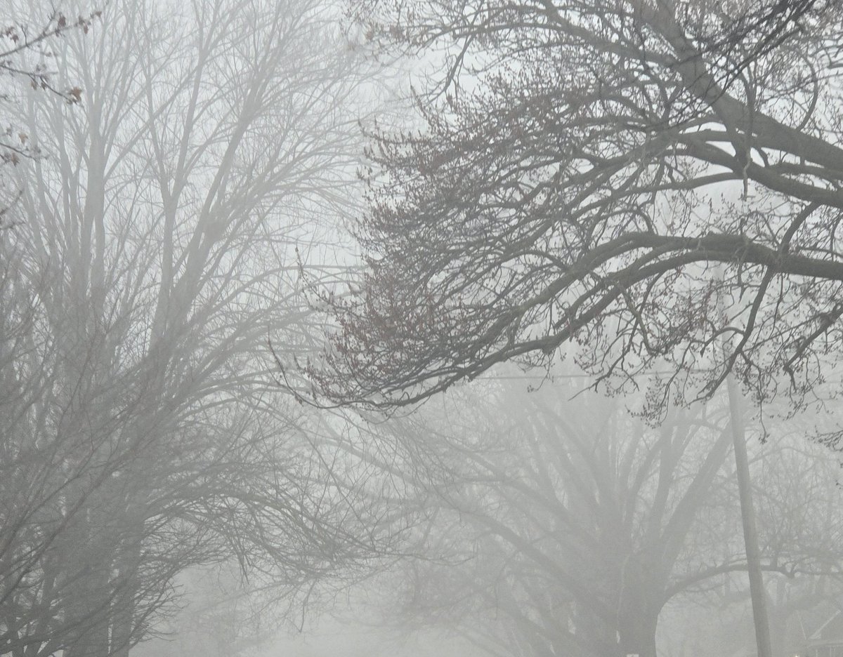 jesseRoss597206's tweet photo. Chemical fog is back from climate engineers polarizing our temperatures. Everyone here is mouth breathing because our noses are clogged up &amp; this fog gets straight in the pores. The insanity of having to live every single with some form of poisonous weather event is diabolical https://t.co/eH2Zh4eElh