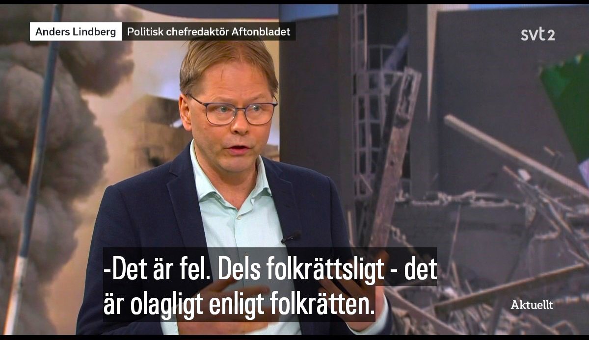 ꭓaim ʃie tweet media