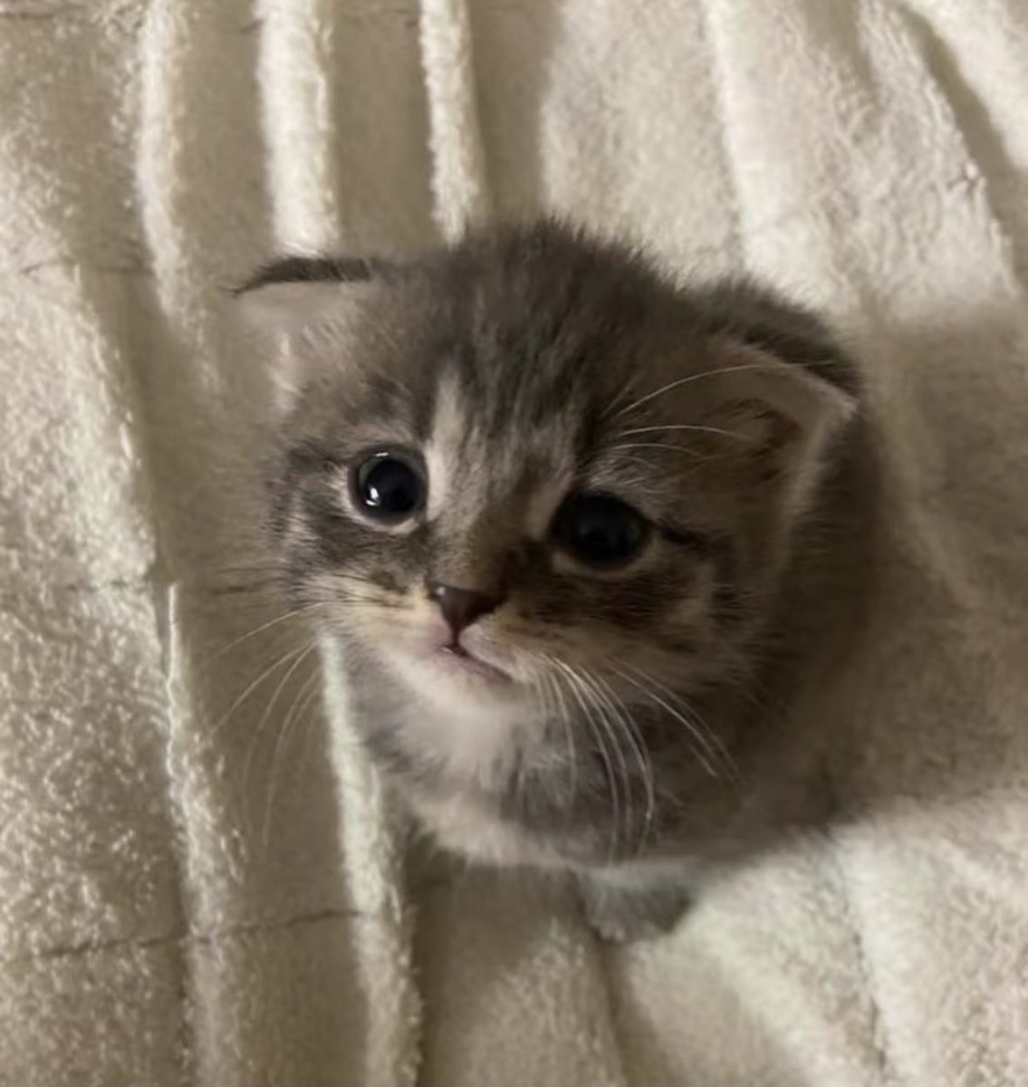 pt (@jpxqzerotwo) on Twitter photo 